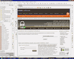 Pajączek 5.9.4 - edytor stron WWW - sprawdzenie dostępu do bezpłatnych wersji