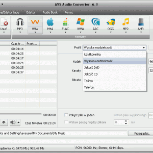 AVS Audio Converter - Konwertuj MP3, WMA, WAV, M4A, AMR, OGG, FLAC, MP2, itd. 