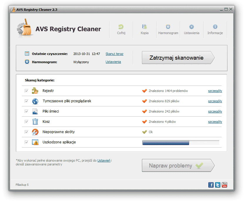 AVS Registry Cleaner - Dostęp do szczegółów skanowania