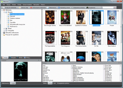Mezzmo - okno zarządzania biblioteką mediów